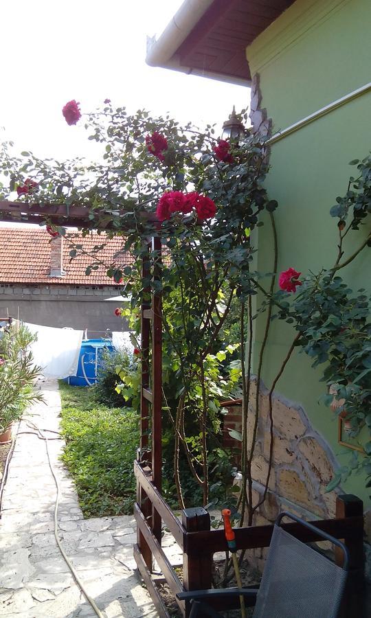 Casa Cosmin Dobra (Hunedoara) Exterior foto